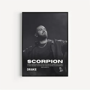 Plakat Drake - czarno-biała okładka albumu Wzór 1
