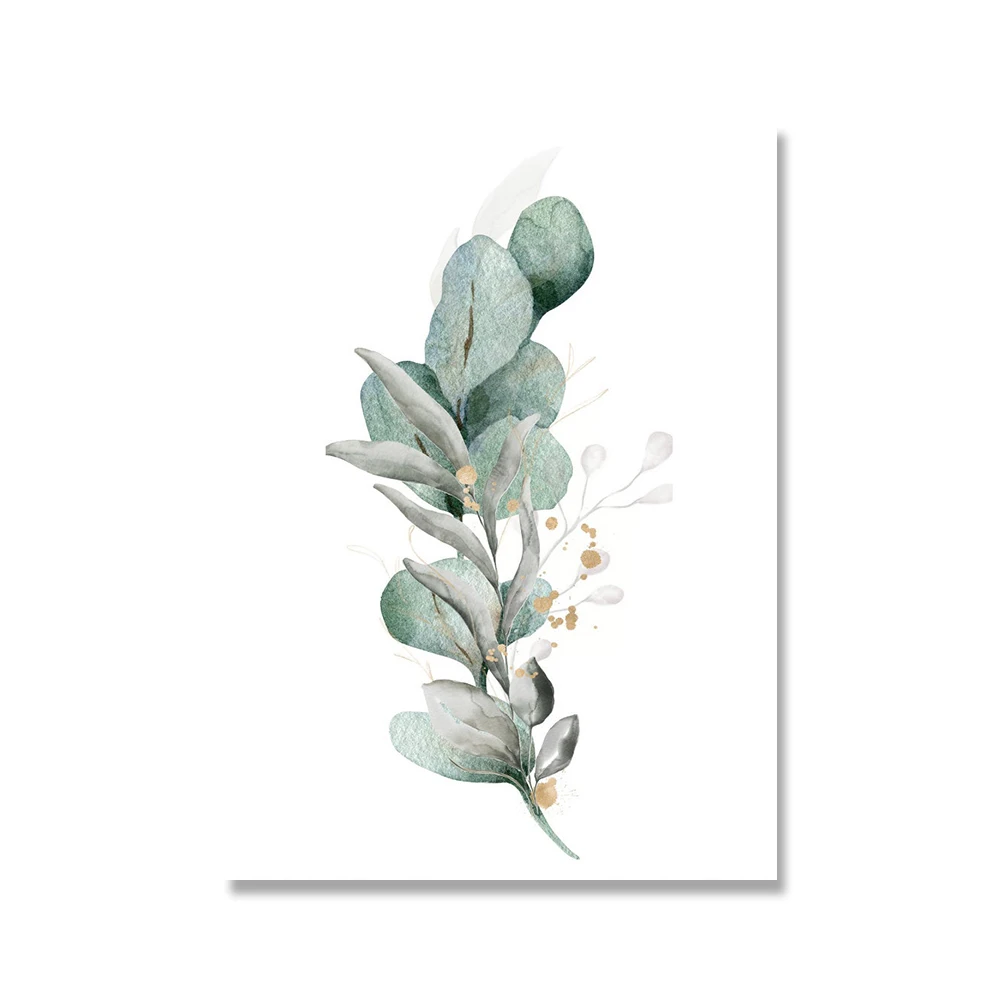 Plakat botaniczny eukaliptus akwarela Wzór 1
