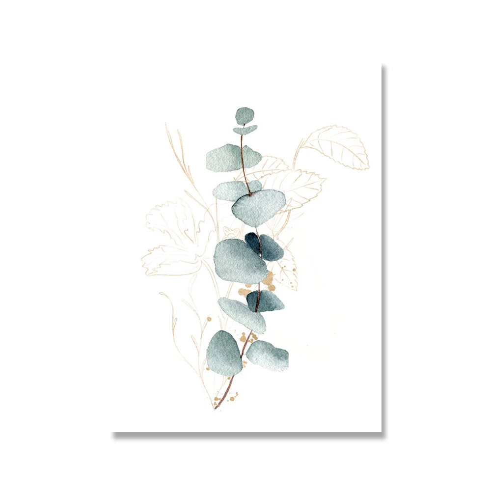 Plakat botaniczny eukaliptus akwarela Wzór 2