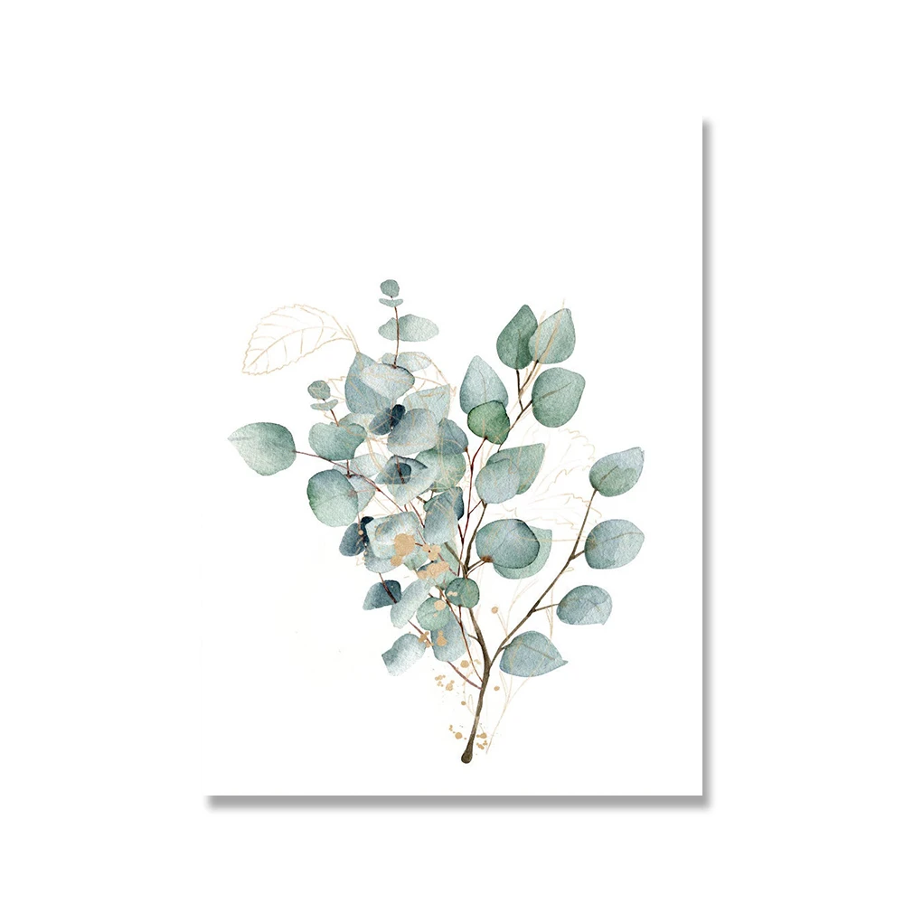 Plakat botaniczny eukaliptus akwarela Wzór 3