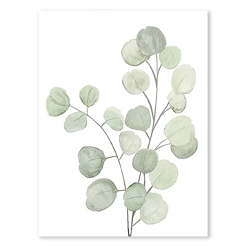Eukaliptus szałwiowy - plakat botaniczny Czerwony