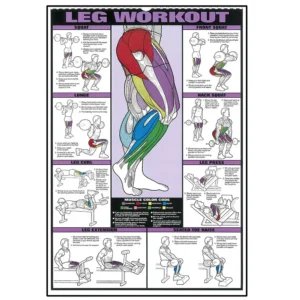 Plakat fitness trening mięśni Jasnoszary