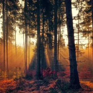 Plakat górskie jezioro w lesie - pejzaż natura Fioletowy/фиолетовый