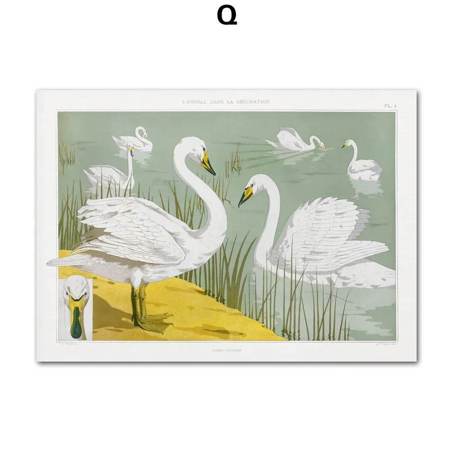 Plakat japonski - Picasso, zuraw i fala Kanagawa Wzór 2