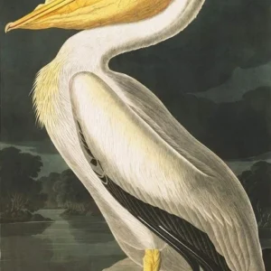 Plakat japońska droga wśród drzew Hasui Kawase Wielo