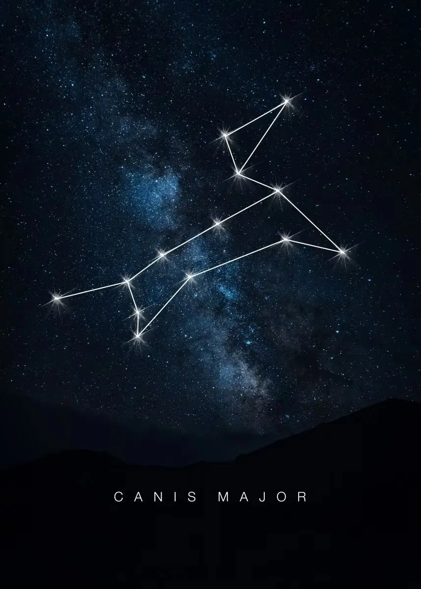 Konstelacje kosmiczne - plakat ze znakami zodiaku Burgundia