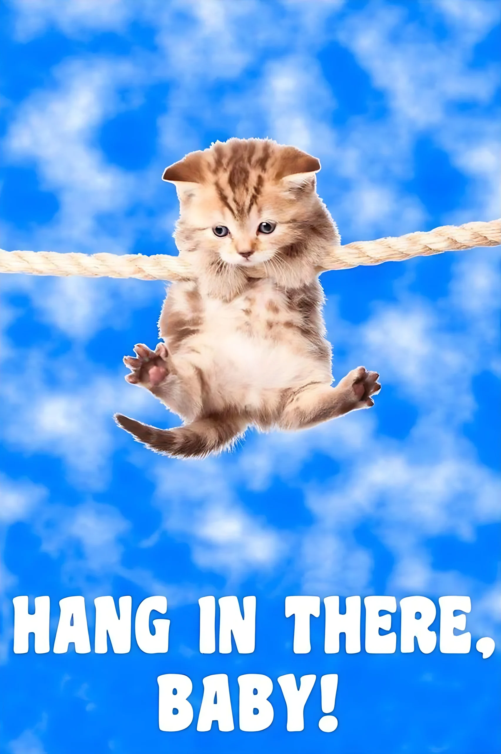 Plakat z kotem na jodze – Hang In There Baby Granatowy