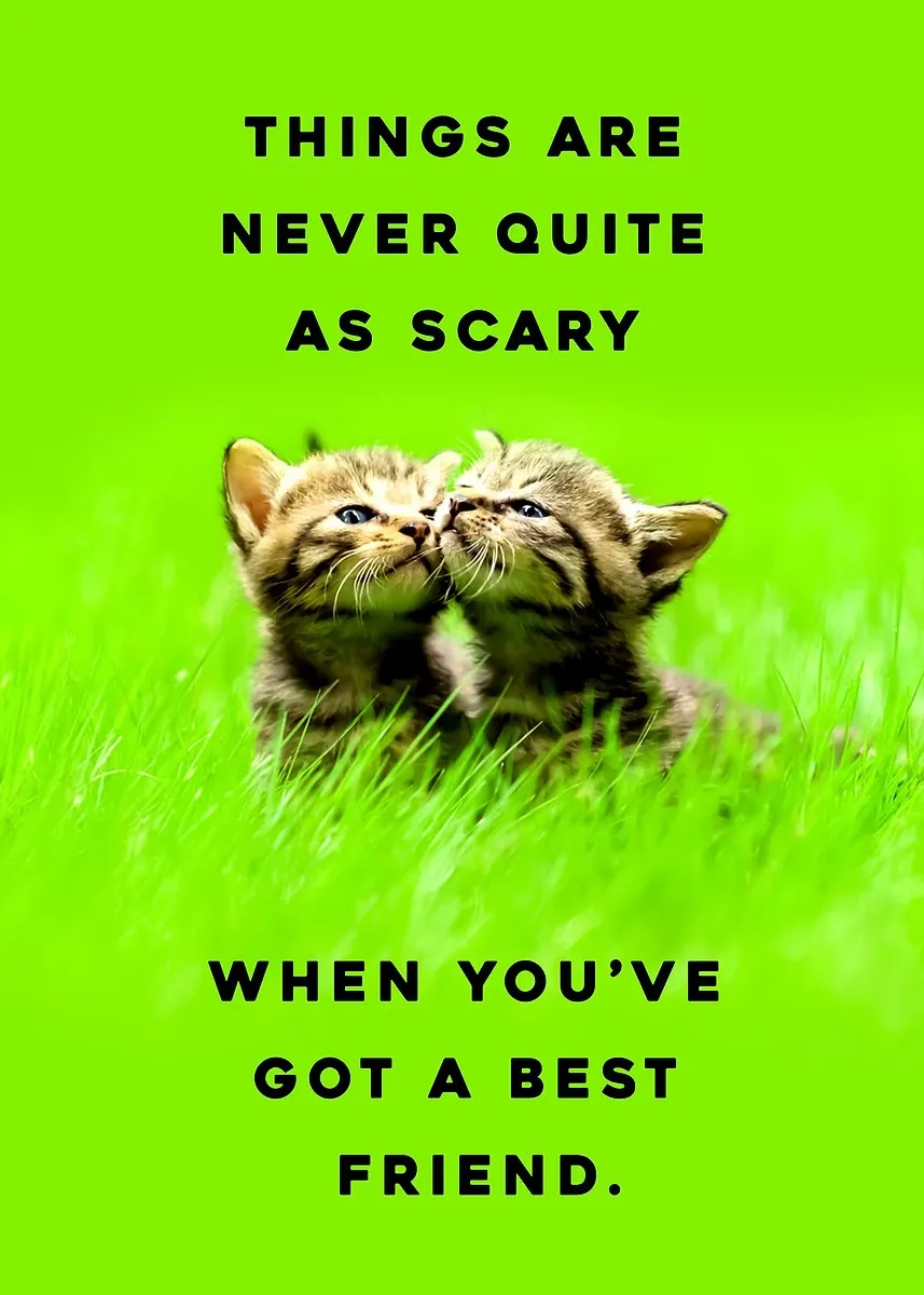 Plakat z kotem jogą Hang In There Baby Biały