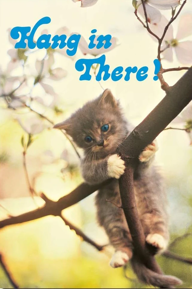 Plakat z kotem jogą Hang In There Baby Burgundia