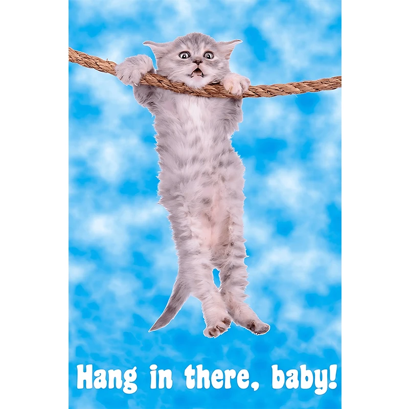 Plakat z kotem jogą Hang In There Baby Fioletowy/фиолетовый
