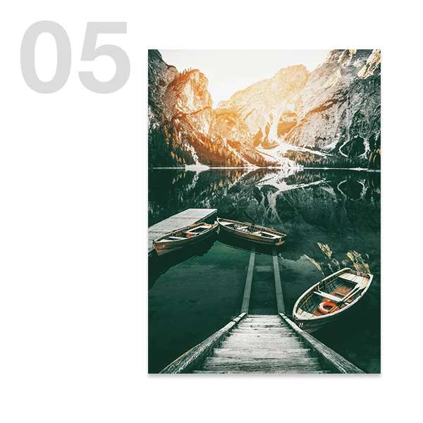 Szkocka krowa highland w lesie - plakat Fioletowy