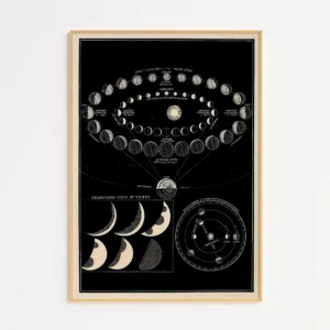 Plakat Księżyc - mapa faz astronomiczna Biały
