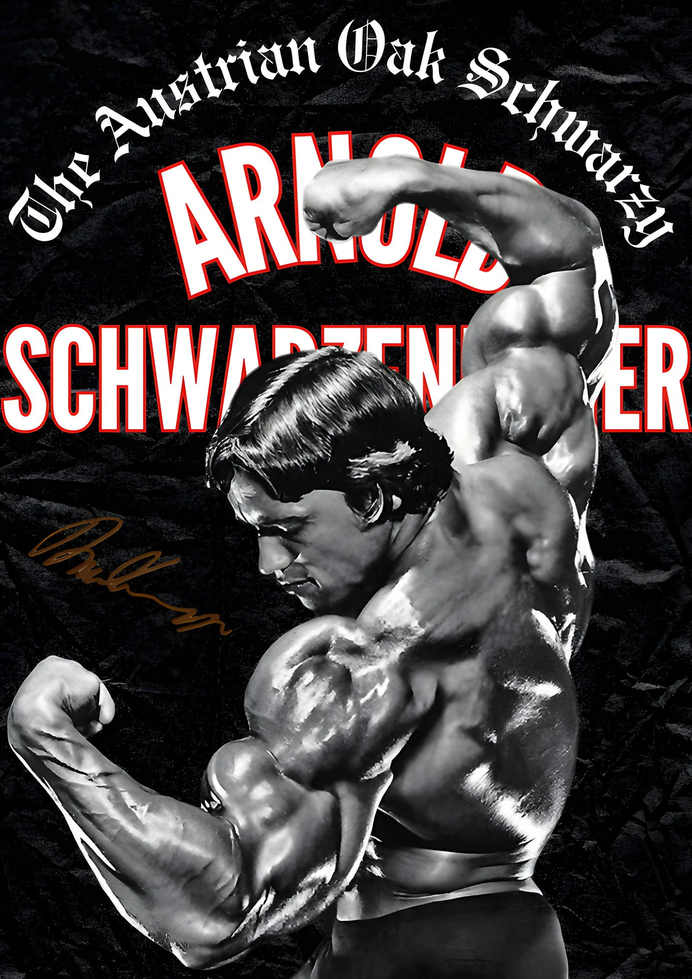 Plakat kulturyści i mistrzowie fitness Niebieski