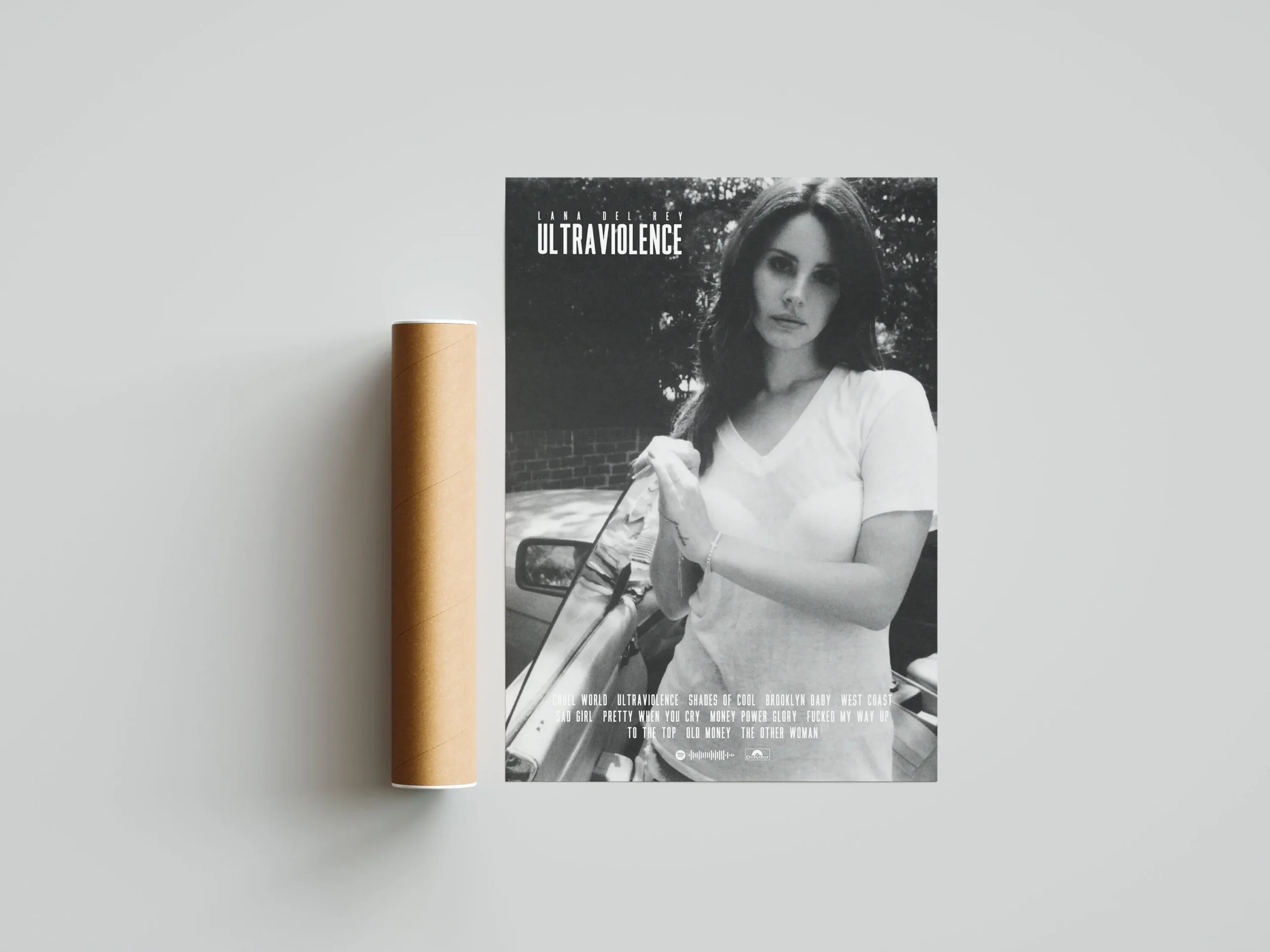 Plakat Lana Del Rey Wzór 3