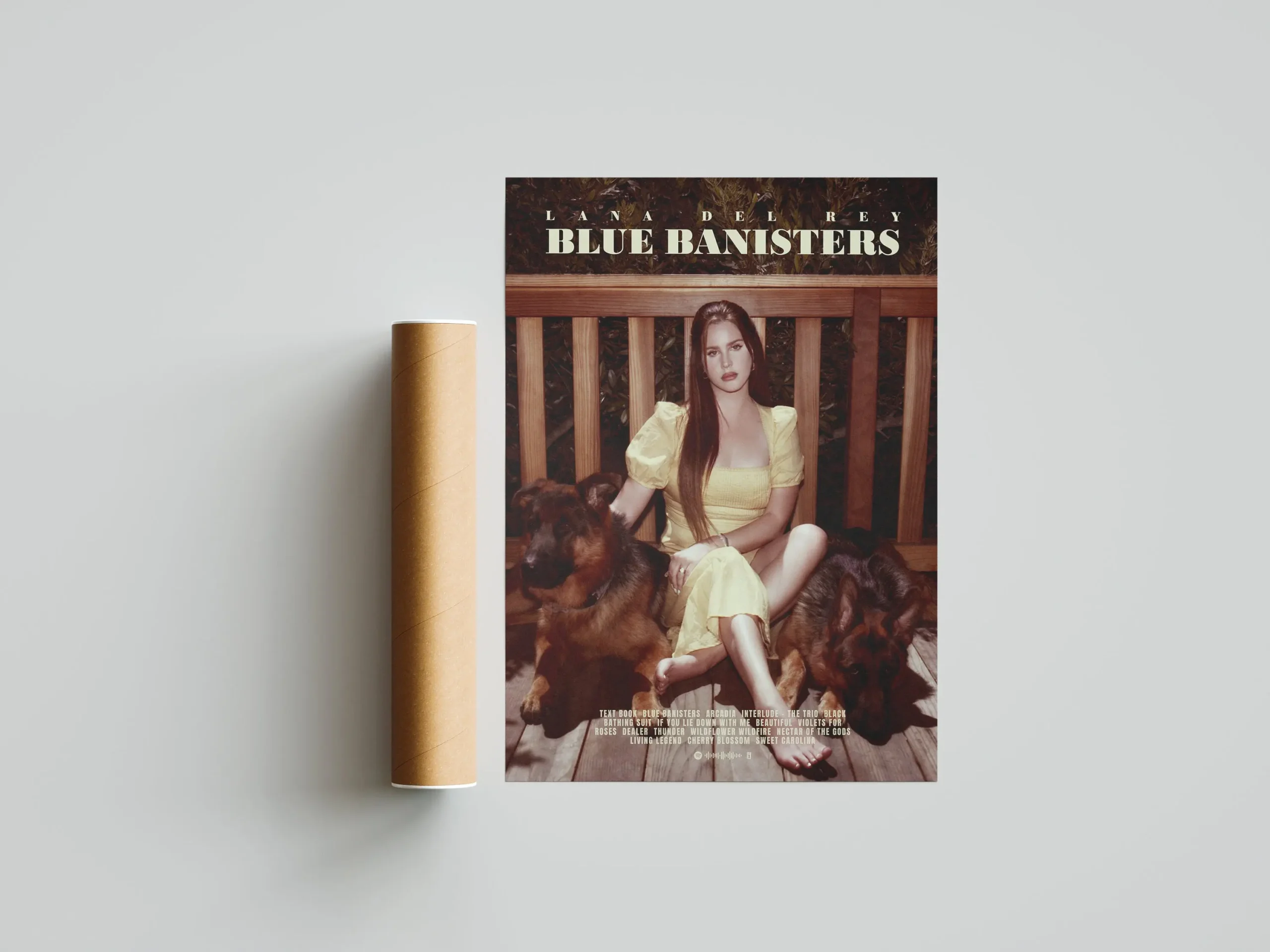 Plakat Lana Del Rey Wzór 6