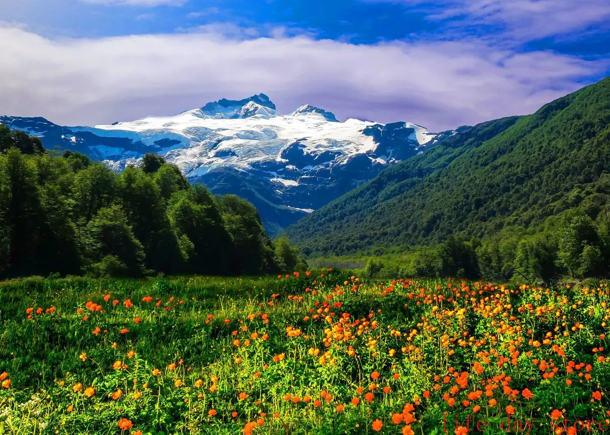 Plakat las gora jezioro natura Burgundia