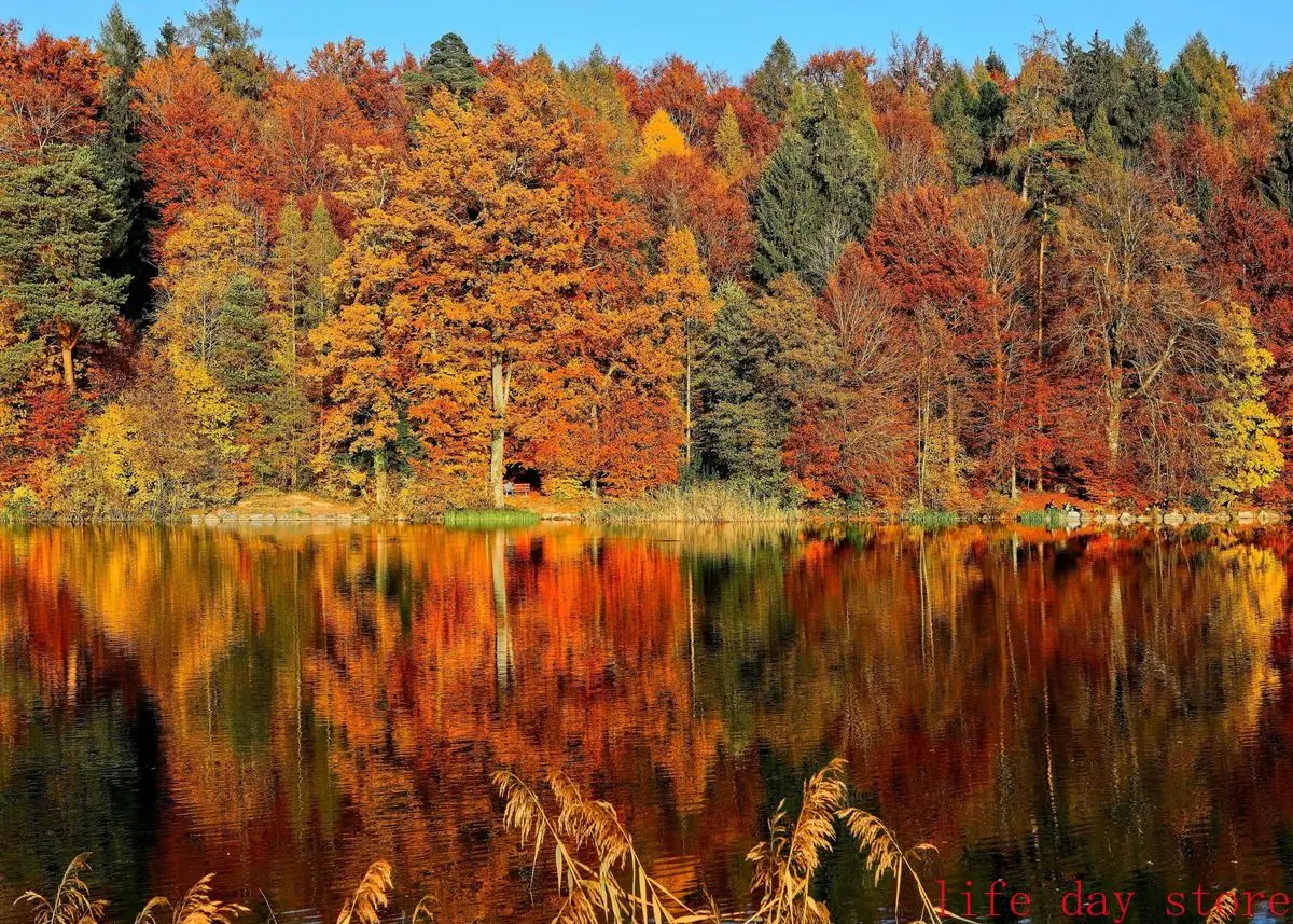 Plakat las gora jezioro natura Niebieski