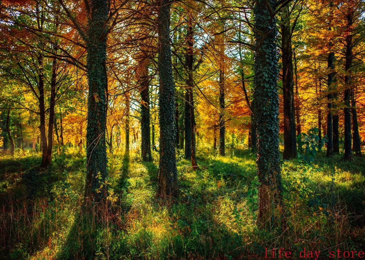 Plakat las gora jezioro natura żółty