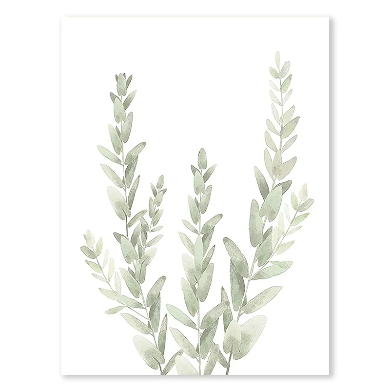 Plakat Liście Eukaliptusa Sage Green Czerwony