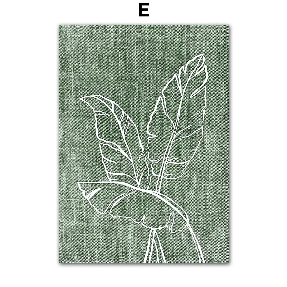 Plakat liście eukaliptusa minimalistyczny Wzór 7