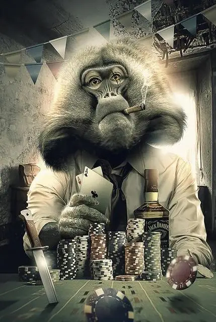 Małpa grająca w karty - abstrakcyjny plakat Wzór 6