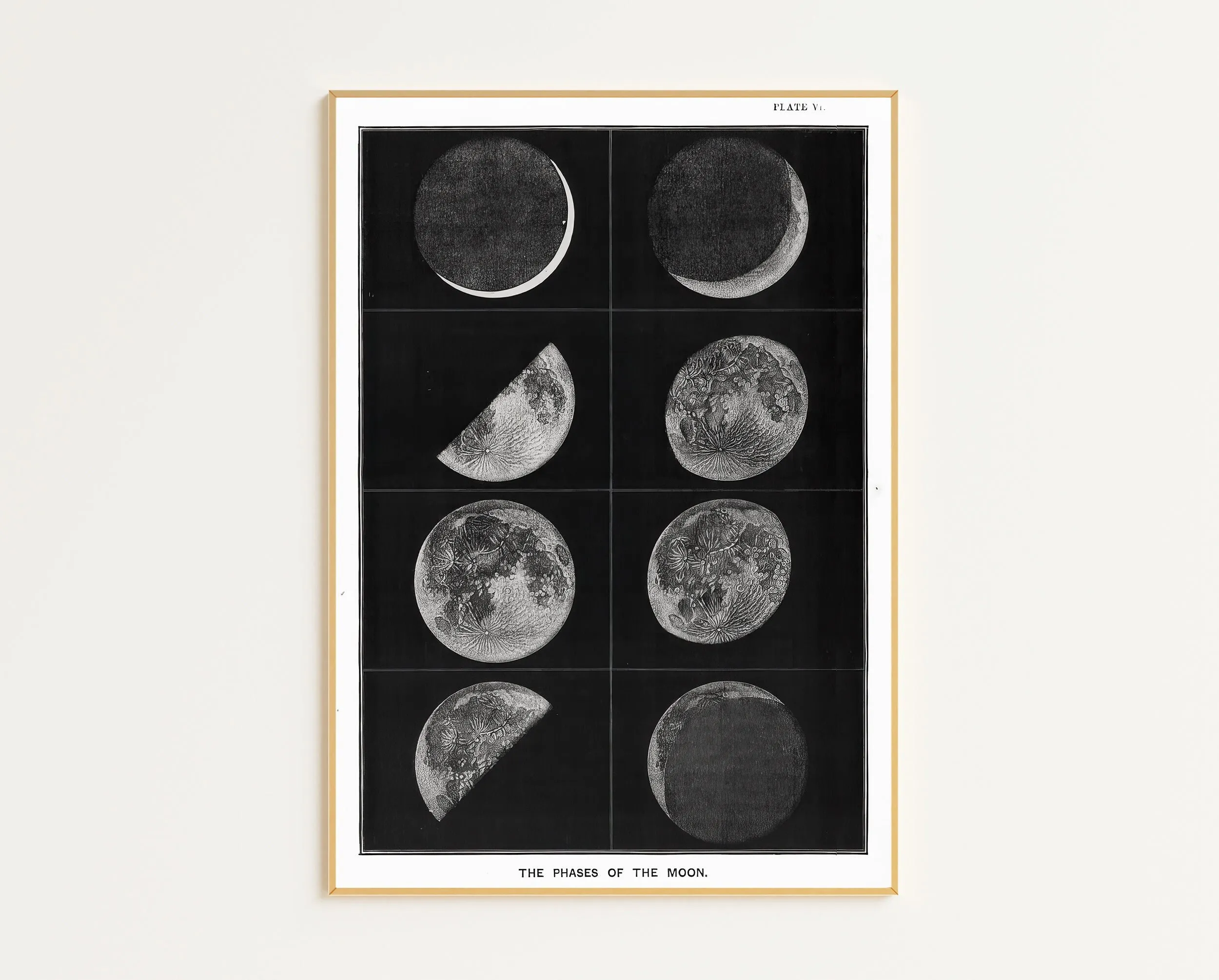 Mapa Księżyca - plakat astronomiczny Brązowy