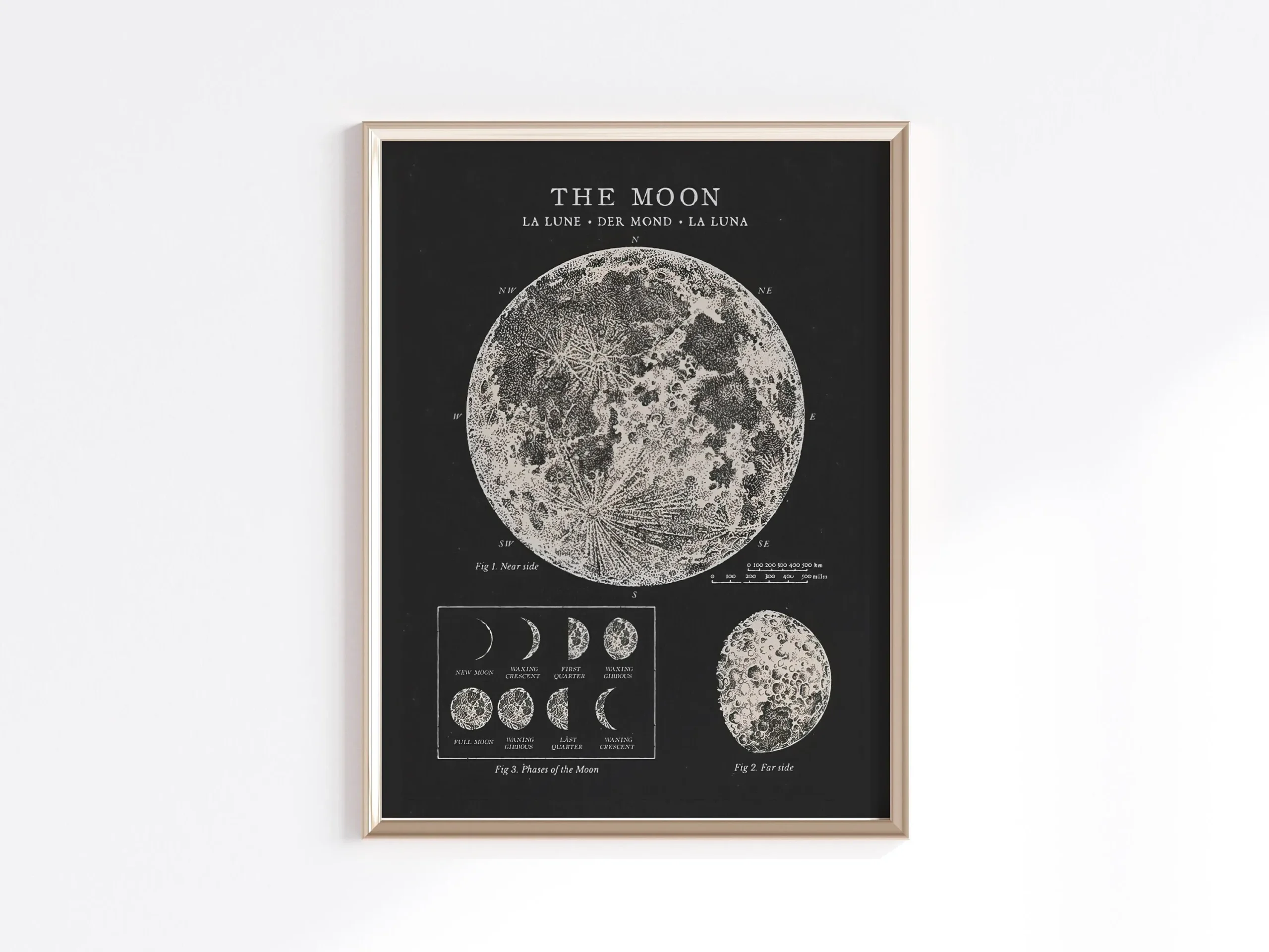 Mapa Księżyca - plakat astronomiczny Jasnoszary