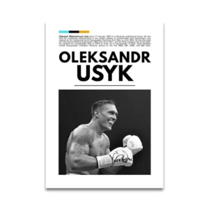 Plakat sportowy MMA Wzór 1