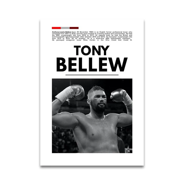 Plakat sportowy MMA Wzór 6