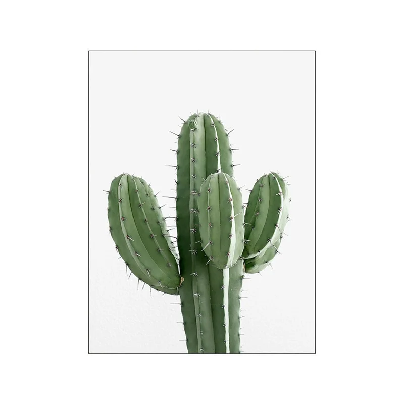 Plakat Monstera – zielone liście Wzór 2