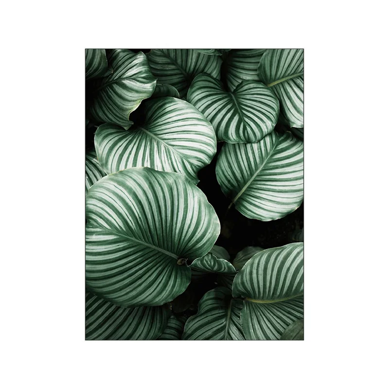 Plakat Monstera – zielone liście Wzór 3
