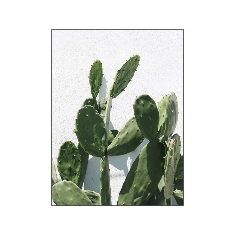 Plakat Monstera – zielone liście Wzór 7
