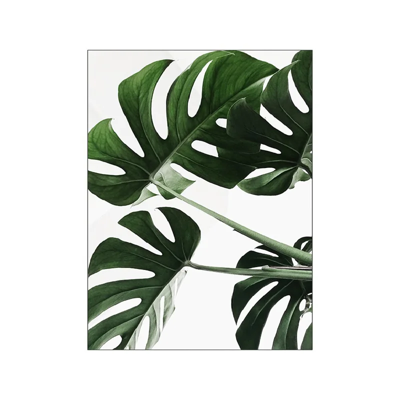 Plakat Monstera – zielone liście Wzór 8