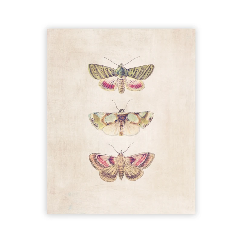 Motyle vintage w stylu boho Burgundia