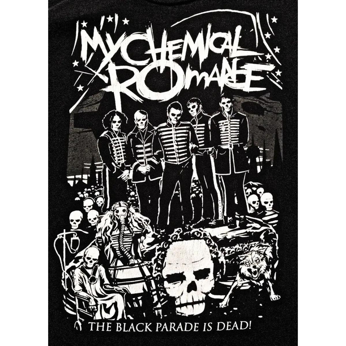 Plakat My Chemical Romance Wzór 5