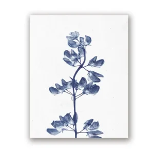 Niebieskie kwiaty – plakat botaniczny Czarny