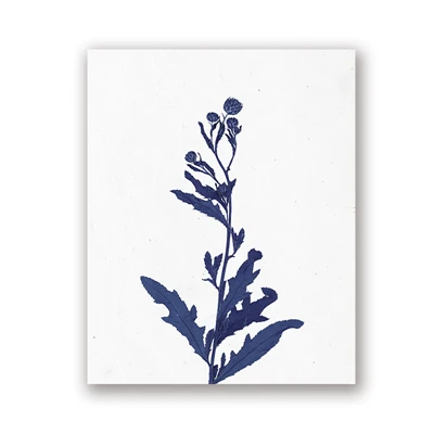 Niebieskie kwiaty – plakat botaniczny Jasny
