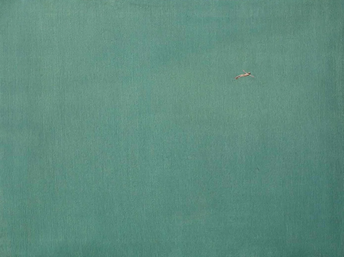 Zielony ocean - minimalistyczny plakat Wzór 7