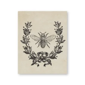 Plakat owady vintage - ilustracja entomologiczna Wzór 1