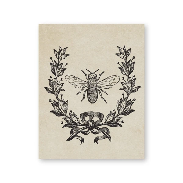 Plakat owady vintage - ilustracja entomologiczna Wzór 1