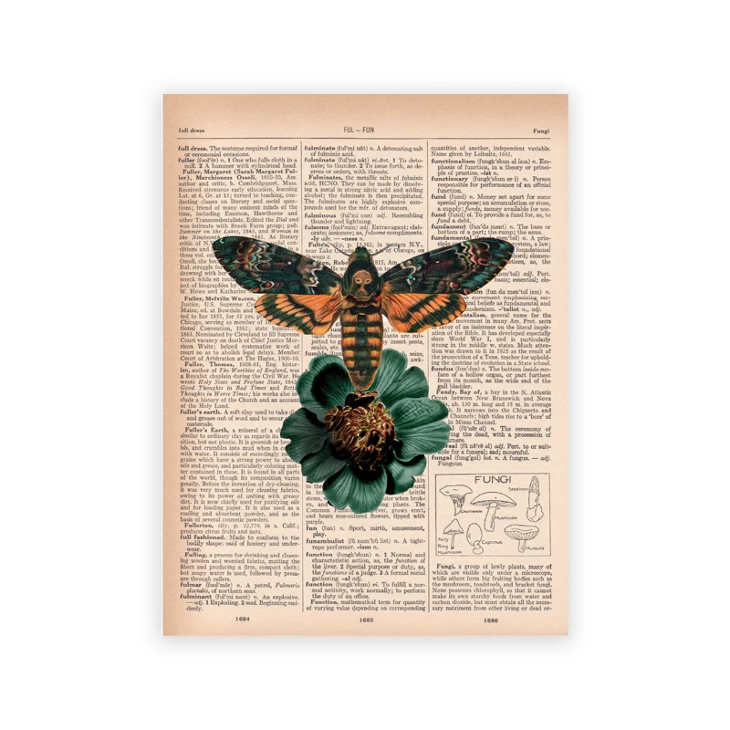 Plakat owady vintage - ilustracja entomologiczna Wzór 3