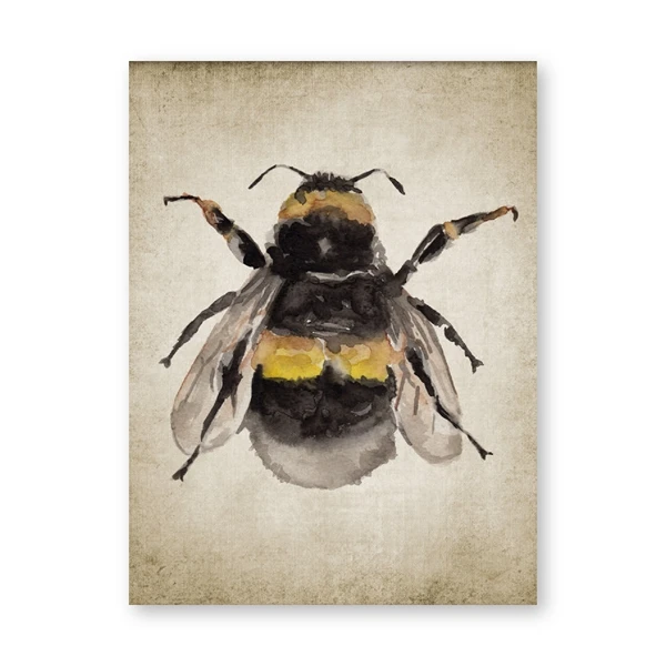 Plakat owady vintage - ilustracja entomologiczna Wzór 6