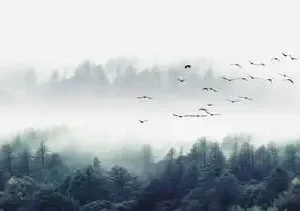 Plakat panorama jeziora i gór w lesie Granatowy