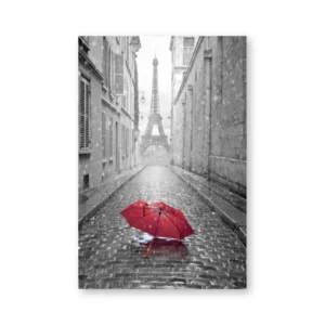 Paryż czarno-biały - plakat fotograficzny Wzór 1