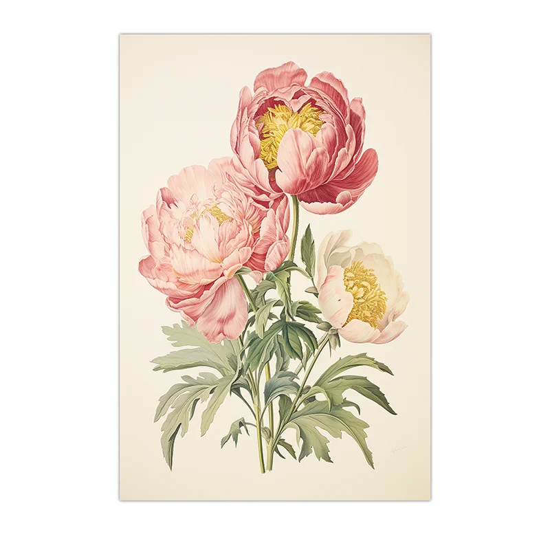 Plakat piwonie vintage - różowa grafika botaniczna Jasnoszary