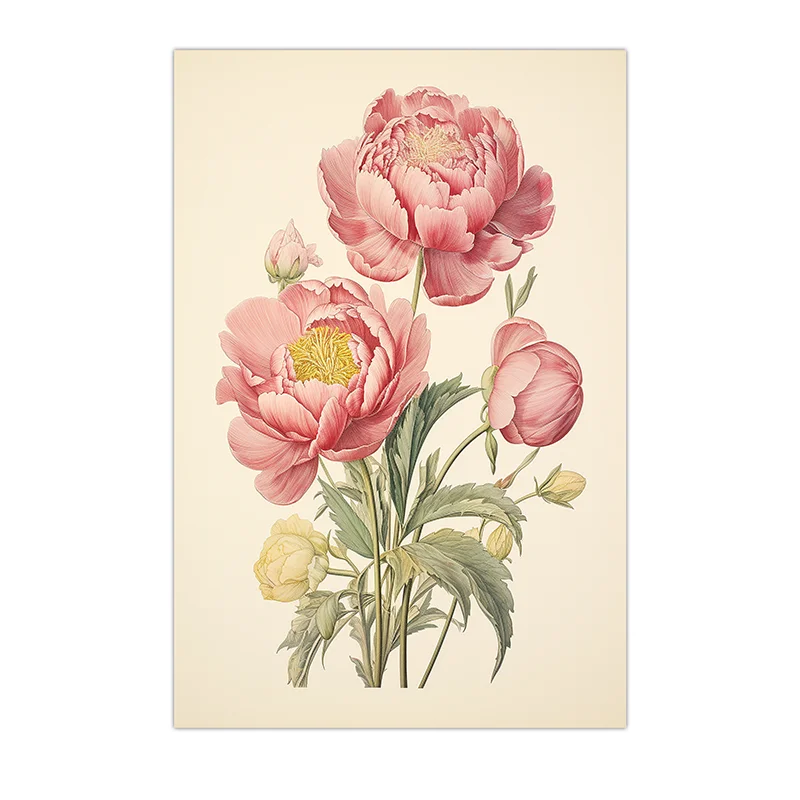Plakat piwonie vintage - różowa grafika botaniczna żółty