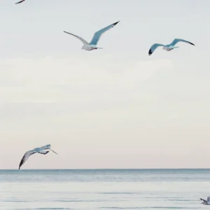 Plakat Plaża i Ocean Boho Wzór 1