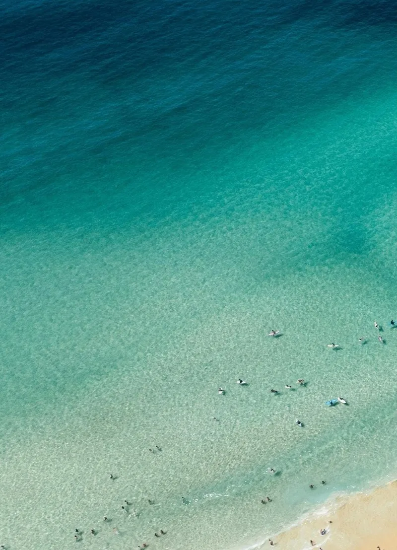 Plaża w Sydney - plakat fotograficzny surfing Biały