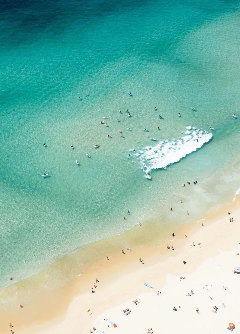 Plaża w Sydney - plakat fotograficzny surfing żółty