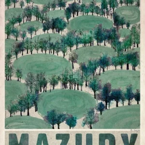 Polskie miasta vintage - plakat Zakopane, Solina, Biebrza Khaki